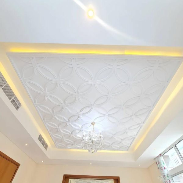 WhatsApp Image 2025-03-09 at 11.31.13 AM